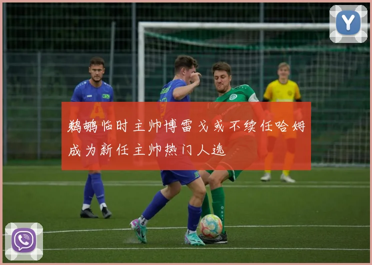 鹈鹕临时主帅博雷戈或不续任哈姆成为新任主帅热门人选